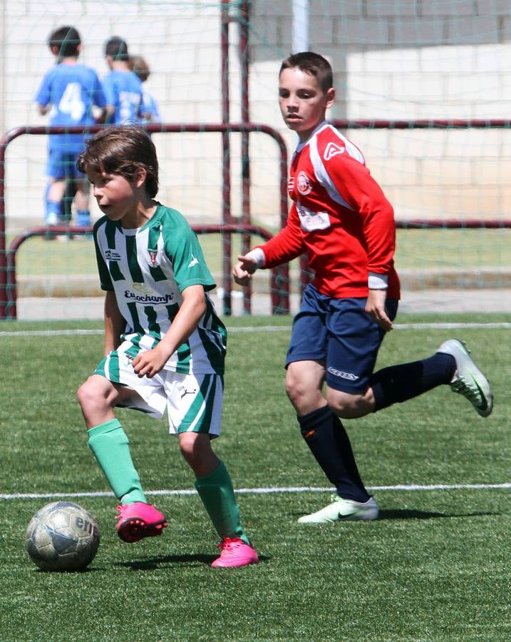 Jornada del domingo del Torneo Valle del Ebro