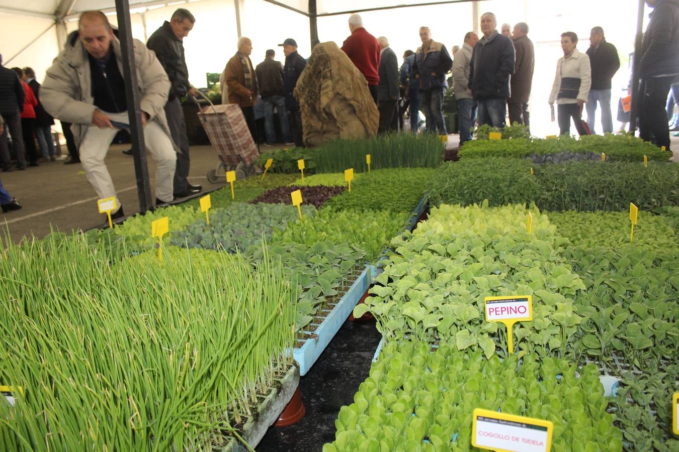 Mercado de la Verdura en Calahorra