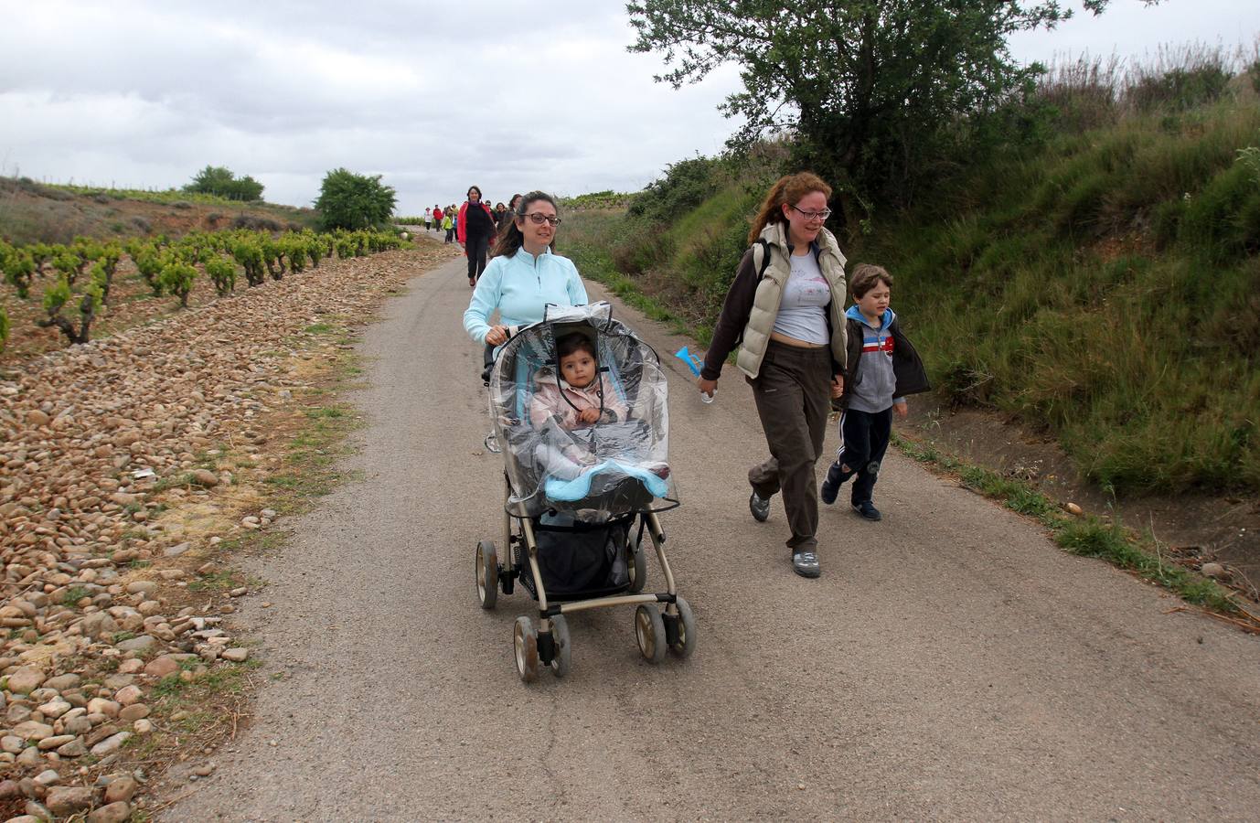 Paseo saludable en Logroño y Villamediana