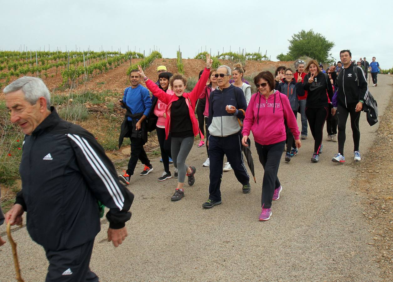 Paseo saludable en Logroño y Villamediana