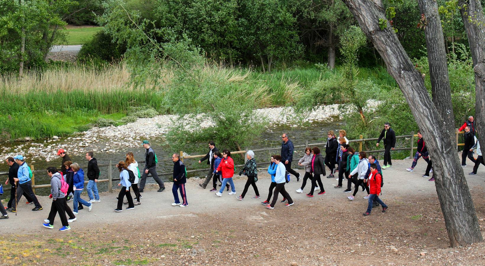 Paseo saludable en Logroño y Villamediana