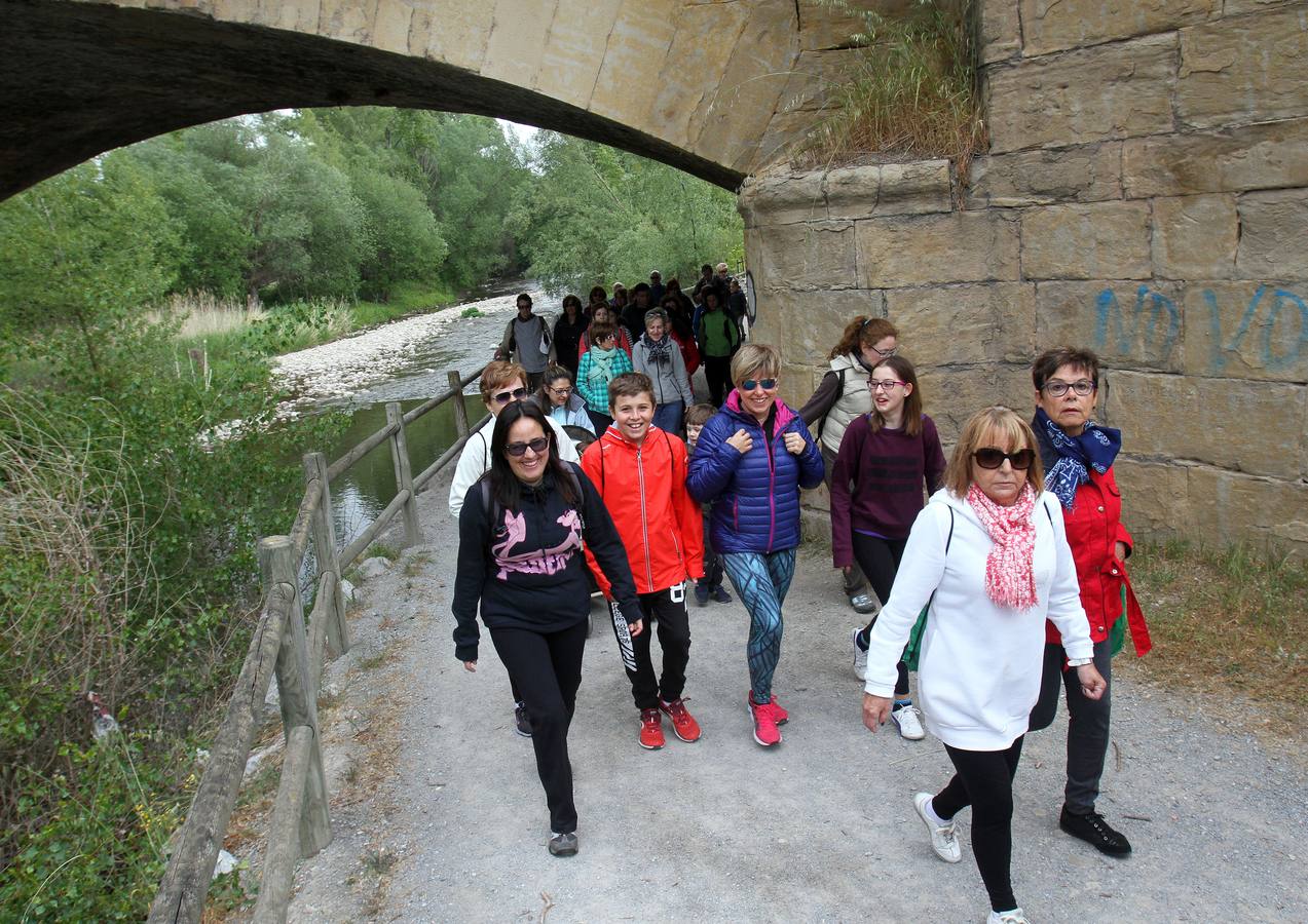 Paseo saludable en Logroño y Villamediana