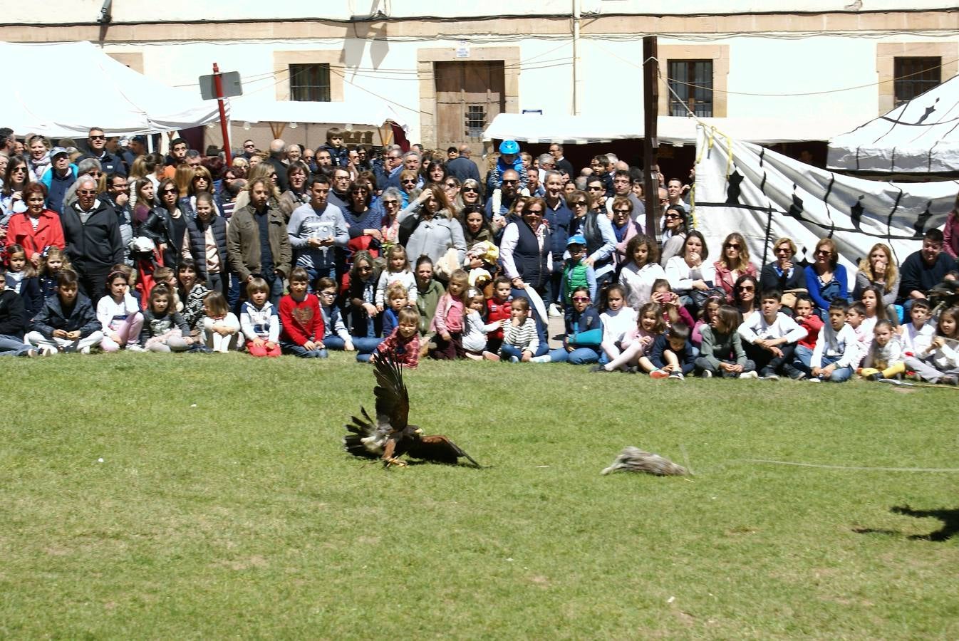 Aclamación de Fernando III en Nájera