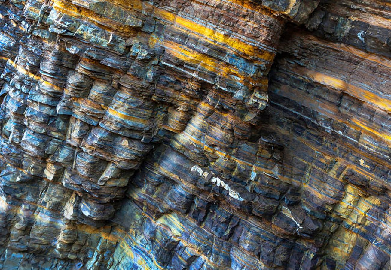 "Caprichos de la naturaleza". 