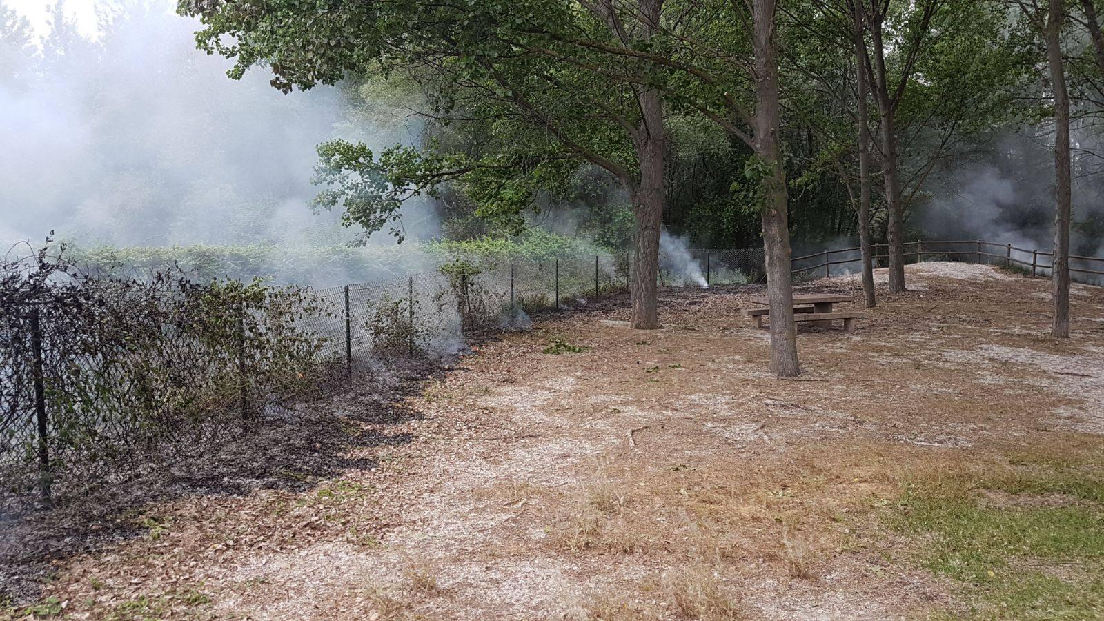 La actuación de los bomberos en el Parque del Iregua y el del Ebro para extinguir los incendios