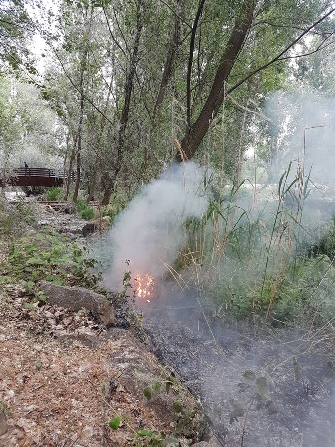 La actuación de los bomberos en el Parque del Iregua y el del Ebro para extinguir los incendios