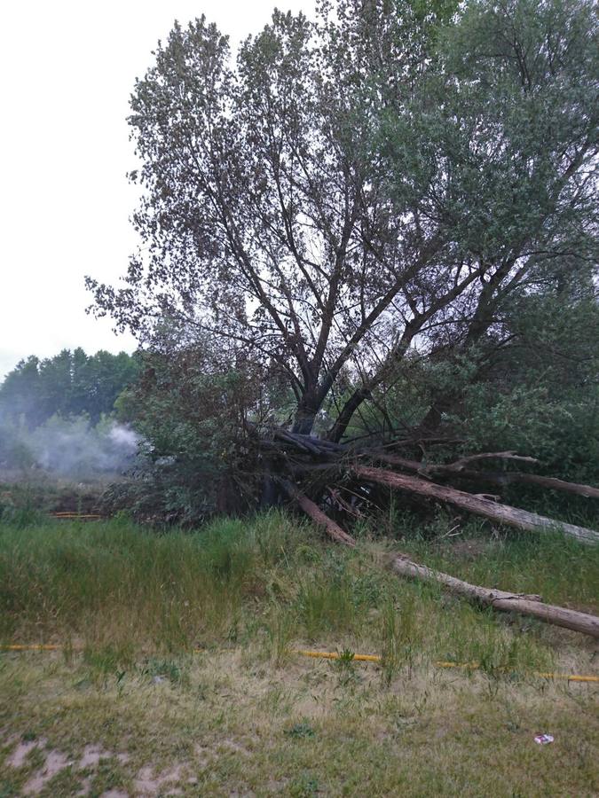 La actuación de los bomberos en el Parque del Iregua y el del Ebro para extinguir los incendios