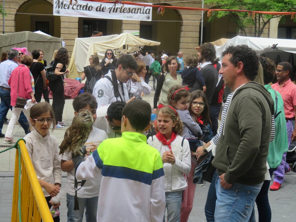 Fiestas en Alfaro: el sábado