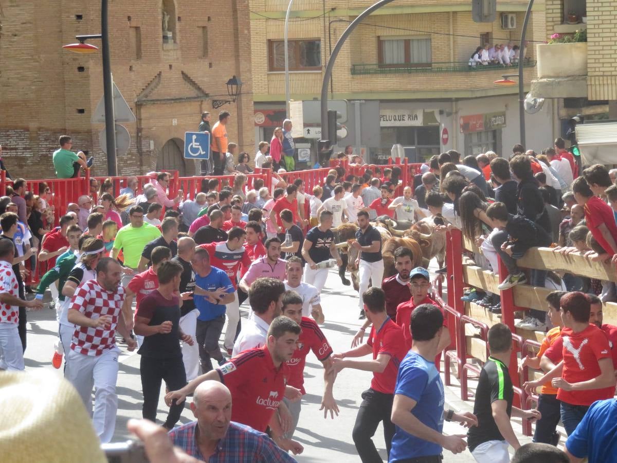 Fiestas en Alfaro: el sábado