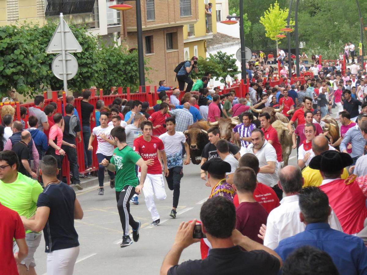 Fiestas en Alfaro: el sábado