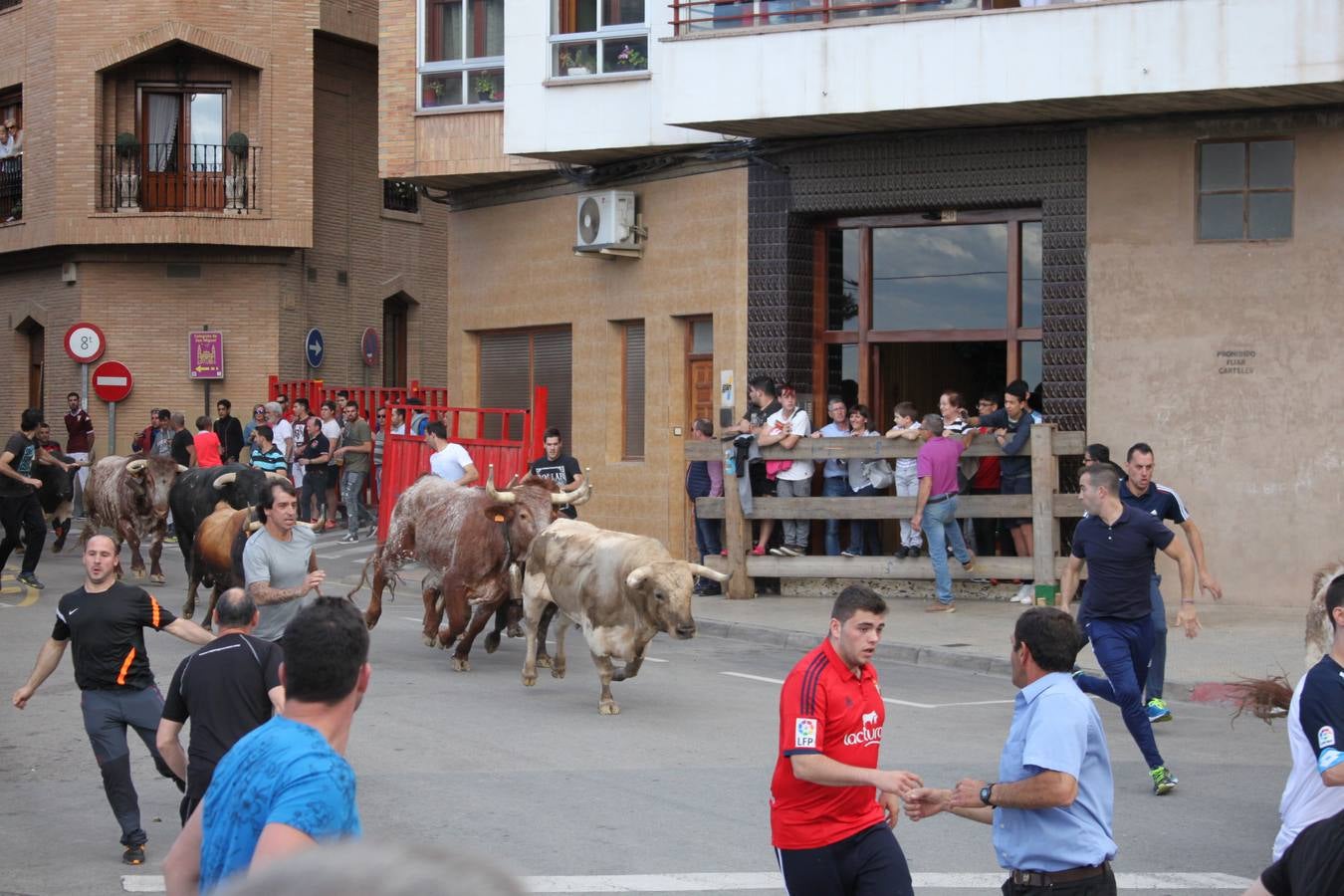 Fiestas en Alfaro: el sábado