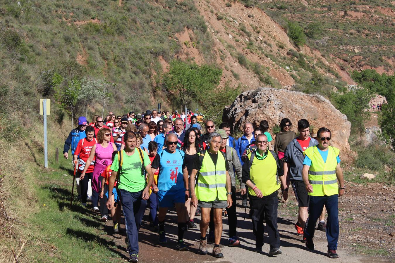 Marcha por la Via Verde en Calahorra