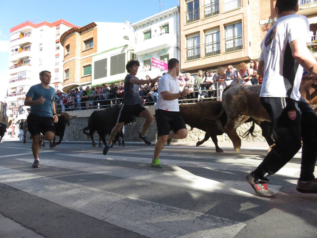 Fiestas de Alfaro: el domingo