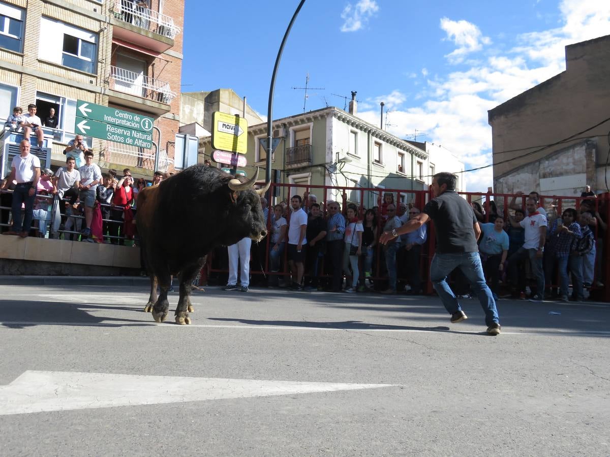 Fiestas de Alfaro: el domingo