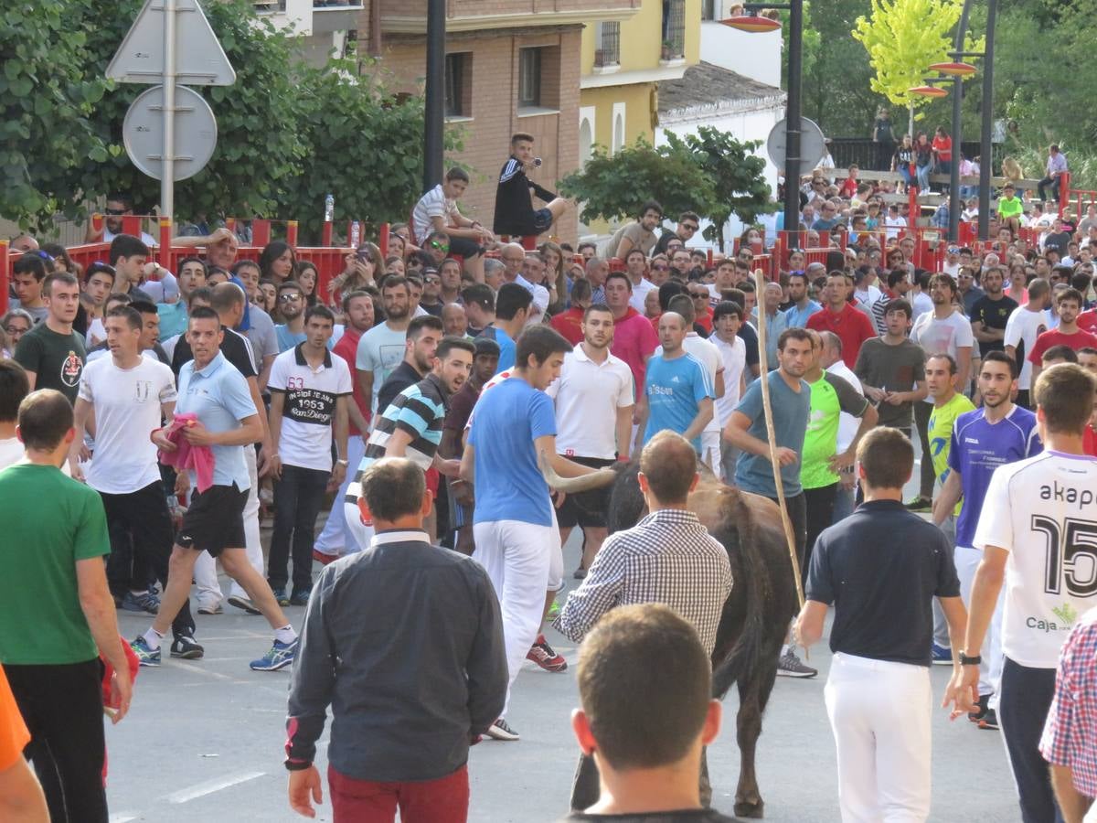 Fiestas de Alfaro: el domingo