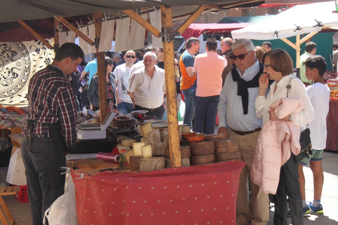 Fiestas de Alfaro: el domingo