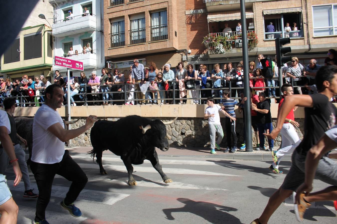 Fiestas de Alfaro: el domingo