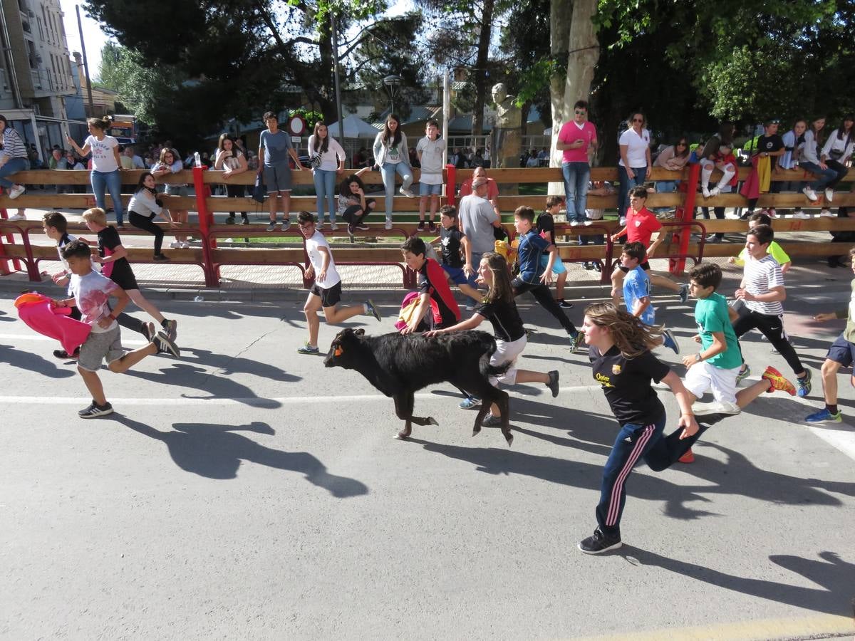 Fiestas de Alfaro: el domingo