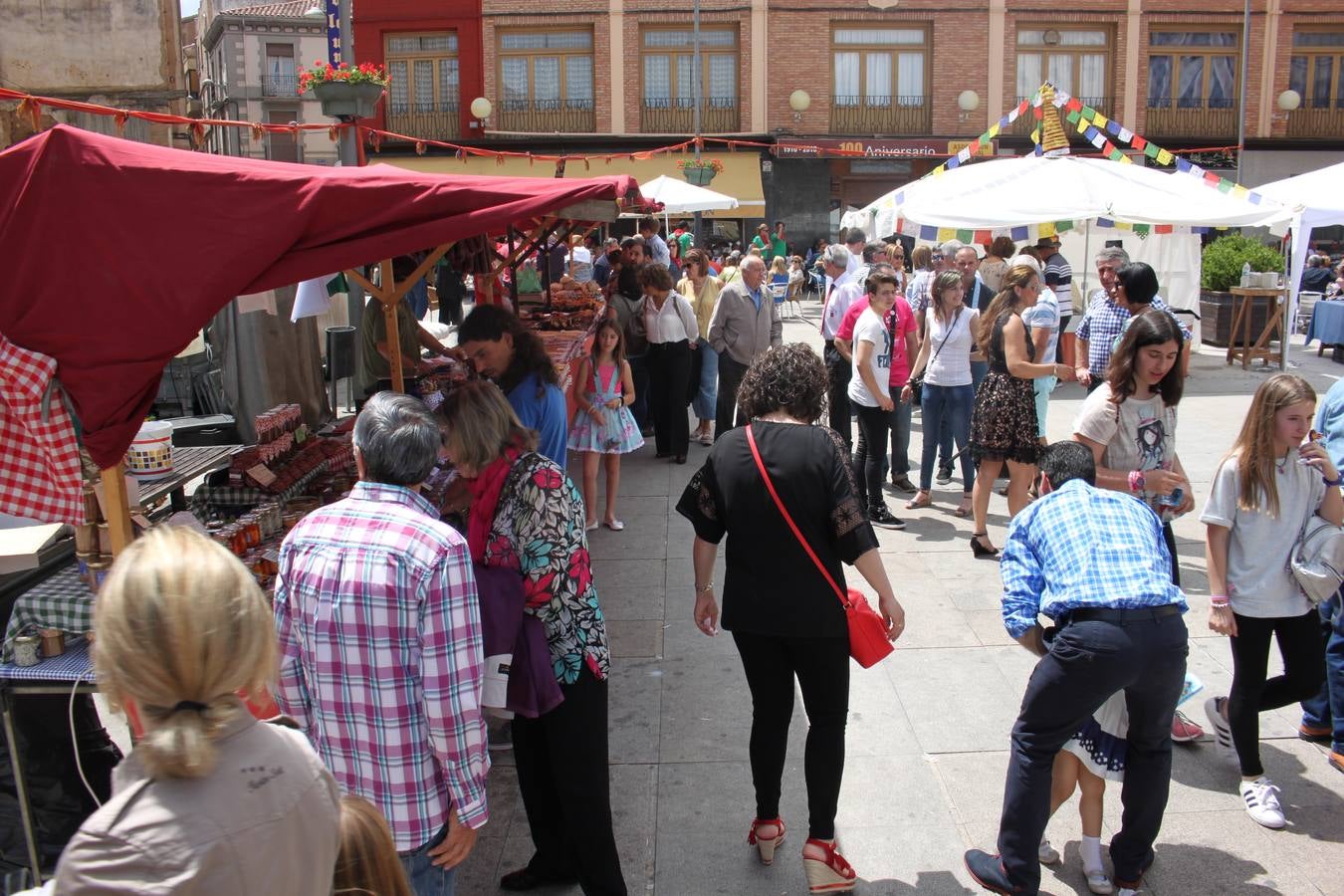 Fiestas de Alfaro: el domingo