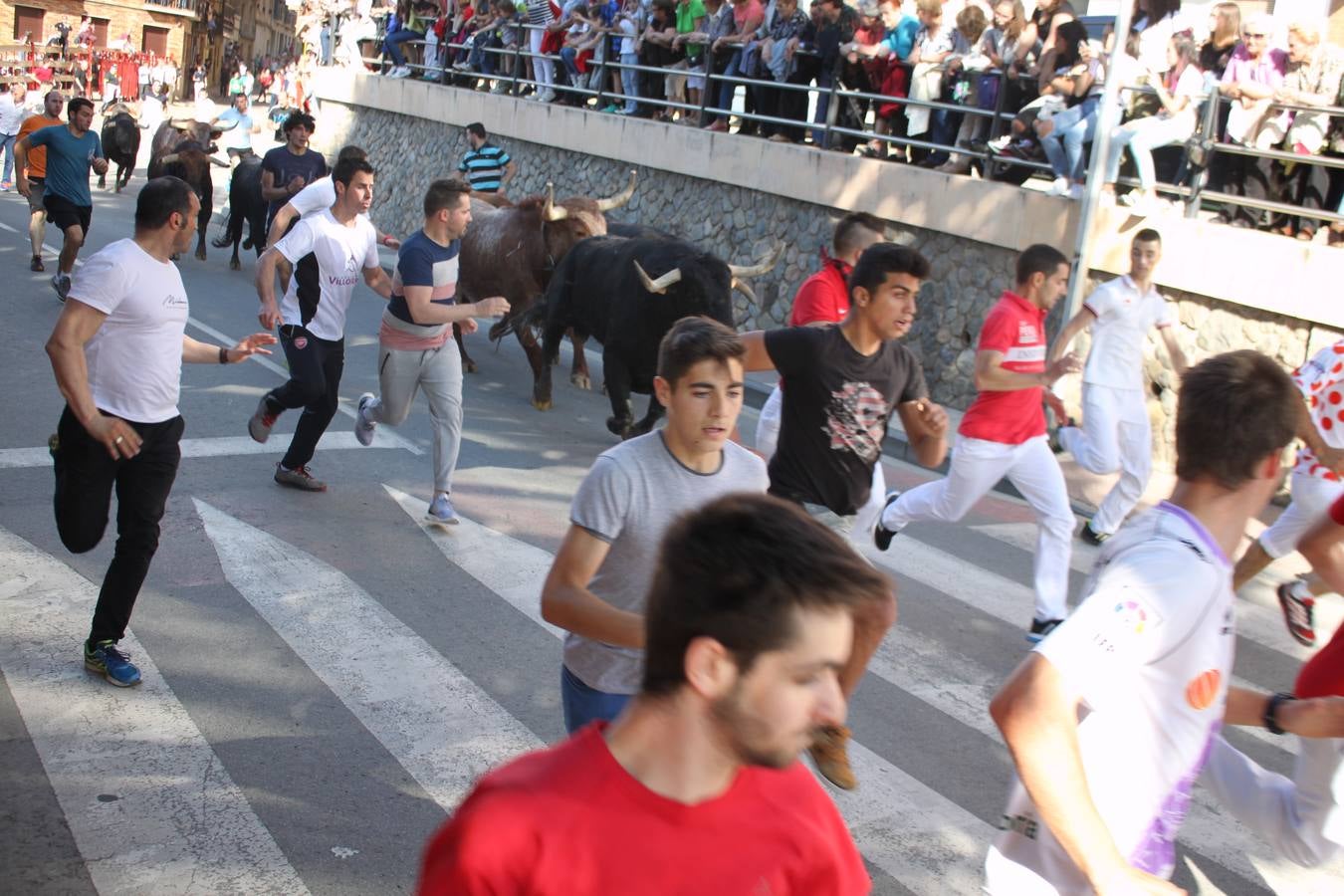 Fiestas de Alfaro: el domingo