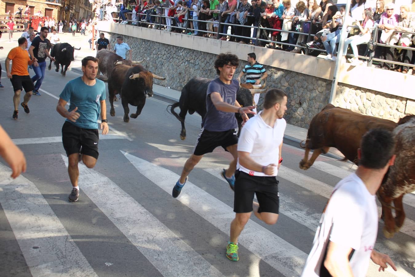 Fiestas de Alfaro: el domingo