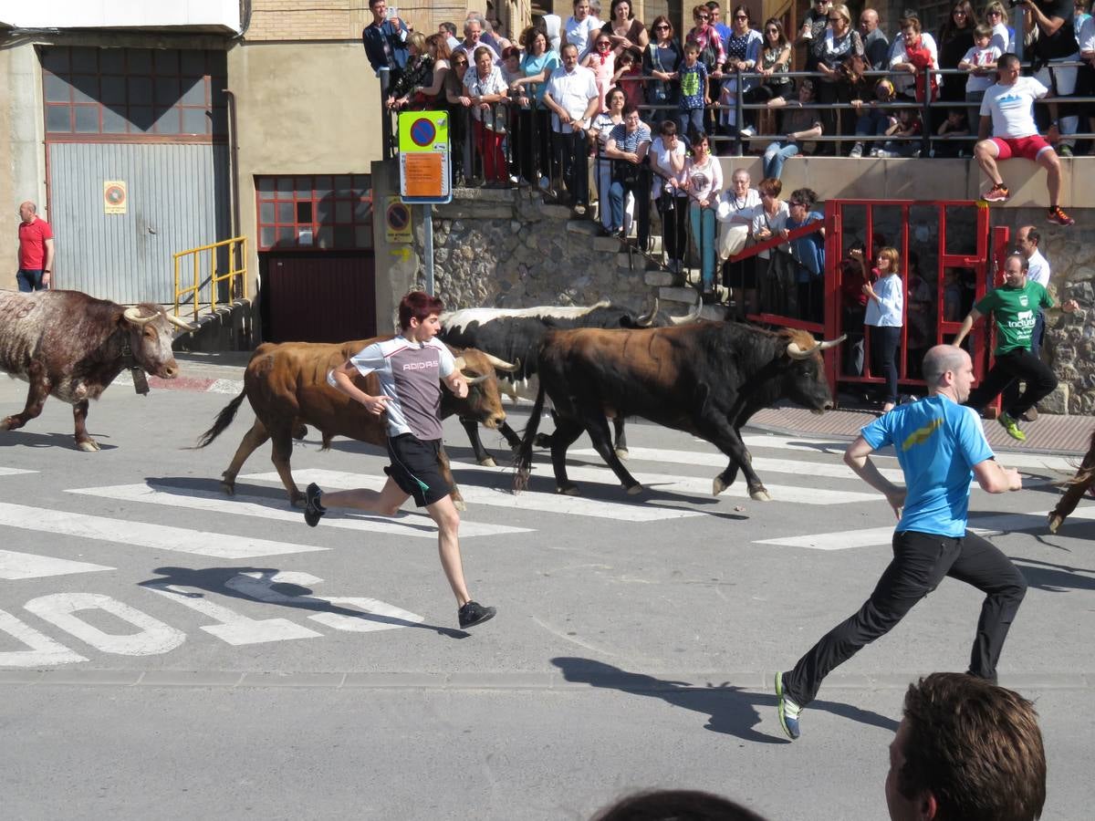 Fiestas de Alfaro: el domingo