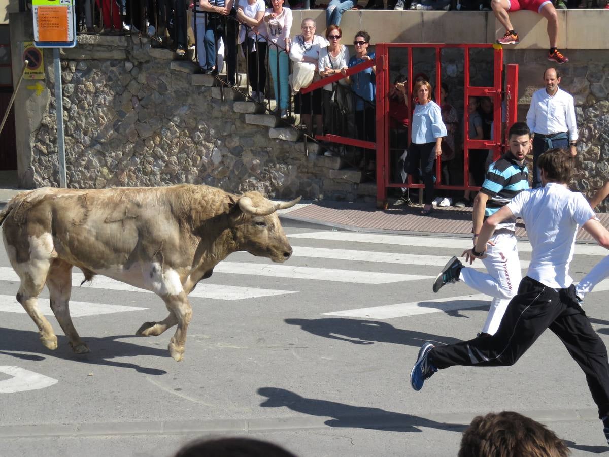 Fiestas de Alfaro: el domingo