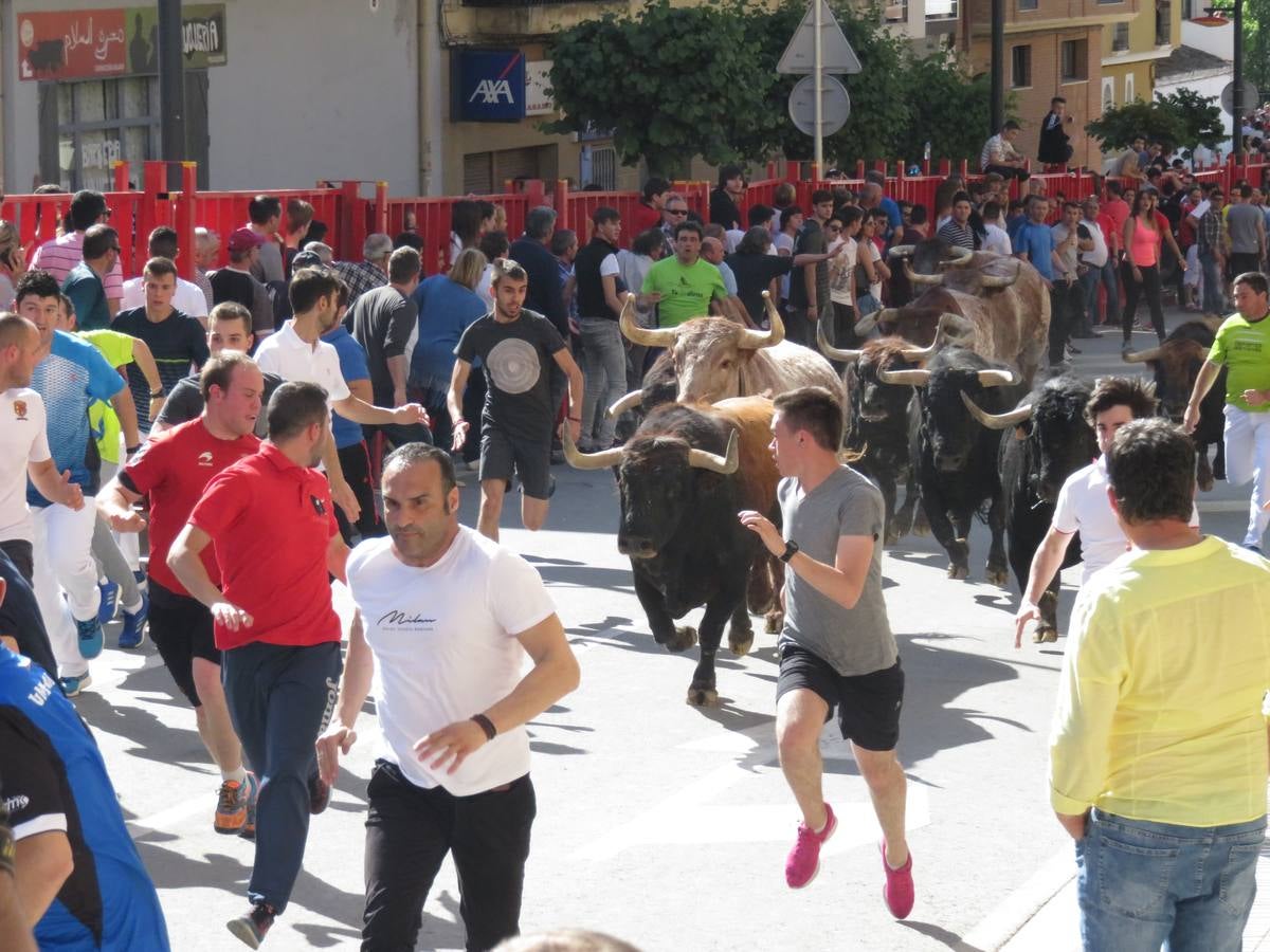 Fiestas de Alfaro: el domingo