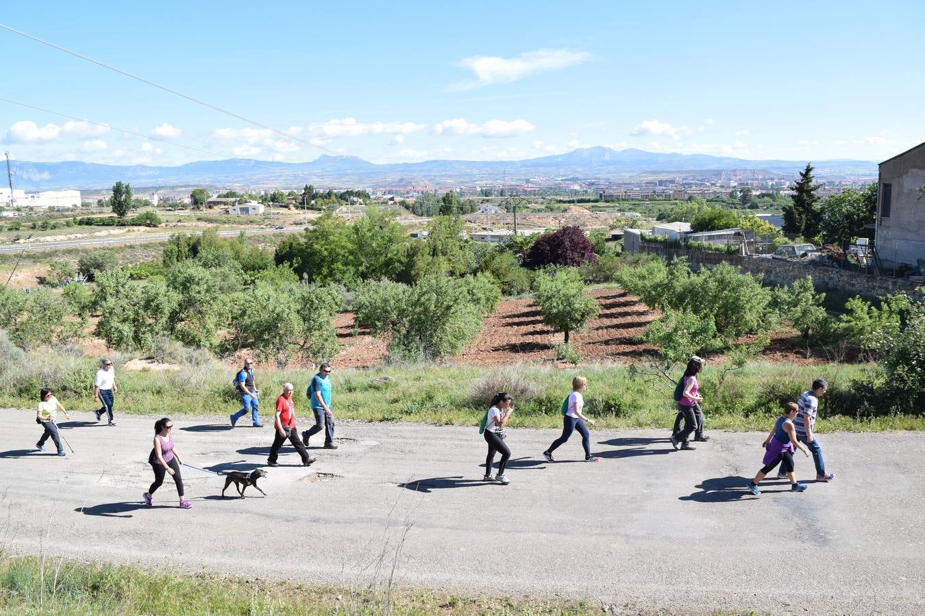 Más de mil personas en el tercer paseo saludable