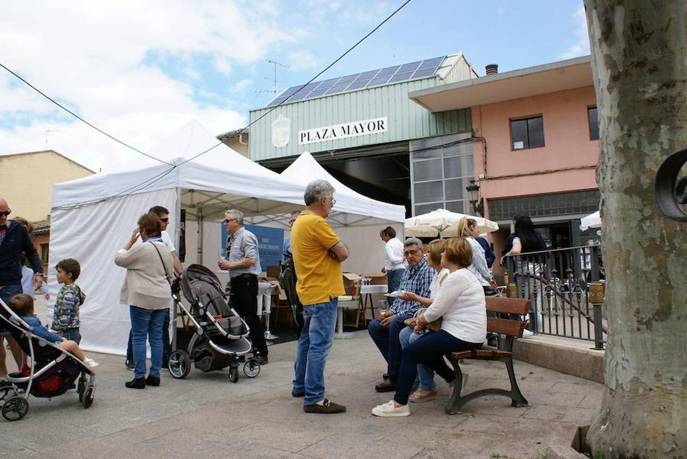 La garnacha reinó en Baños