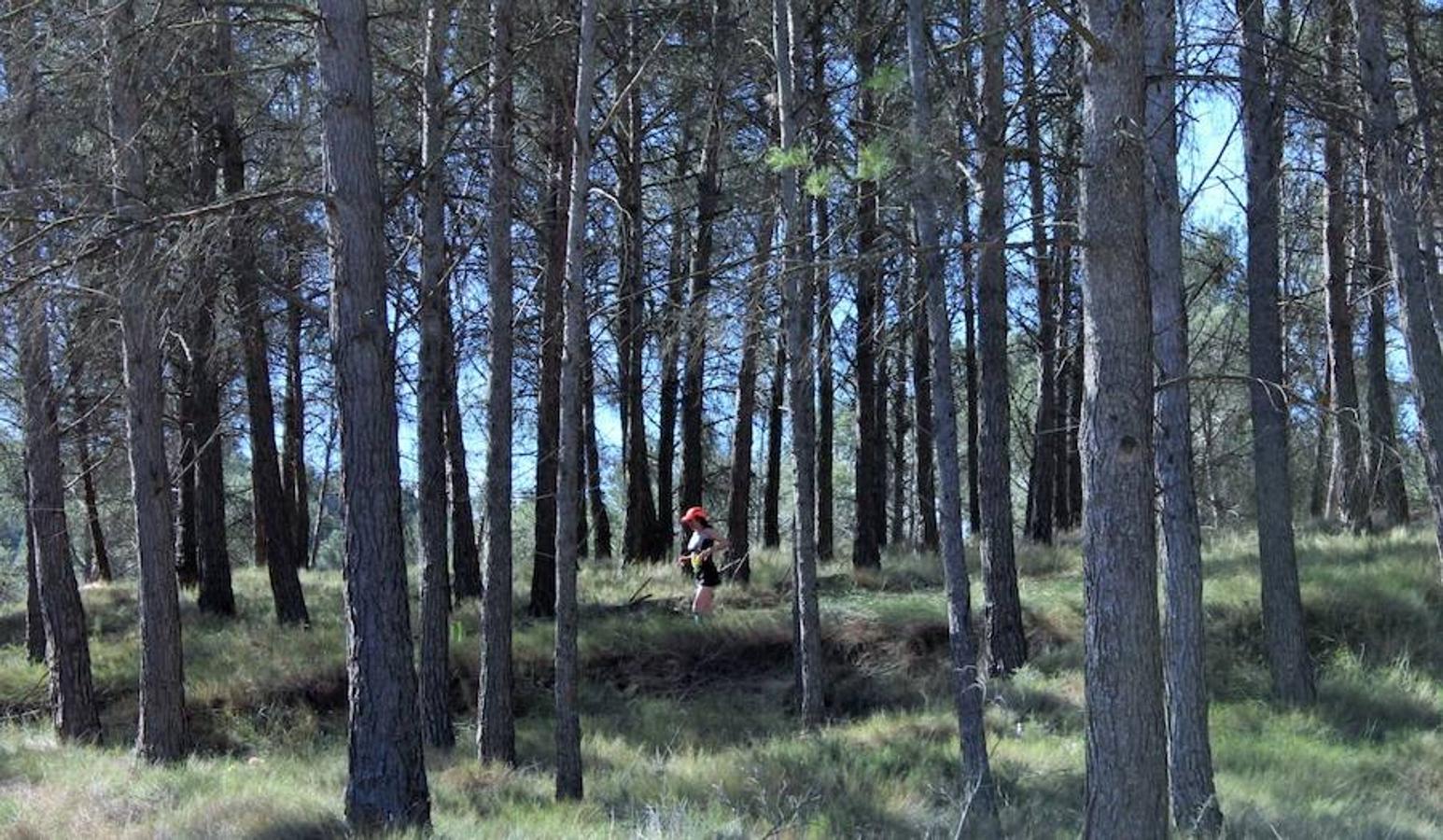 Saúl López ganó la Nájera Xtrem