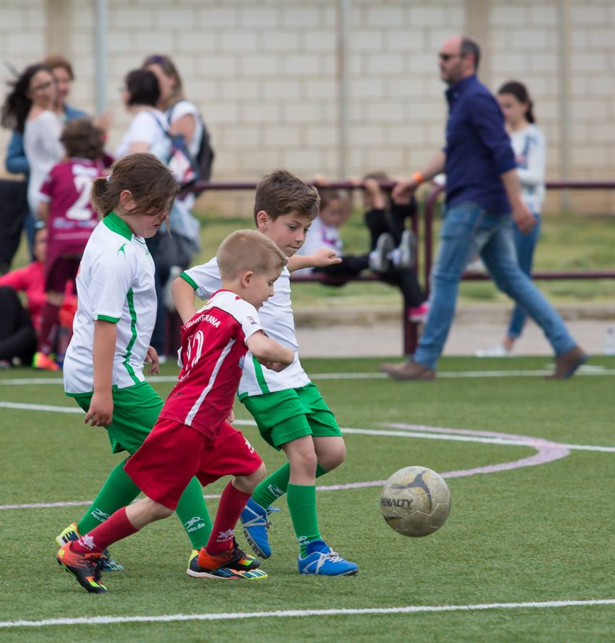 Torneo del EDF Logroño