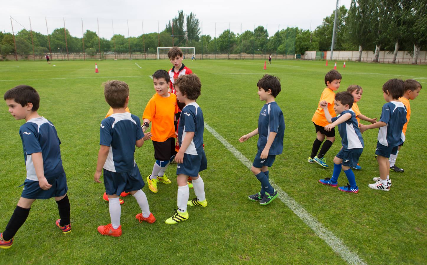 Torneo del EDF Logroño