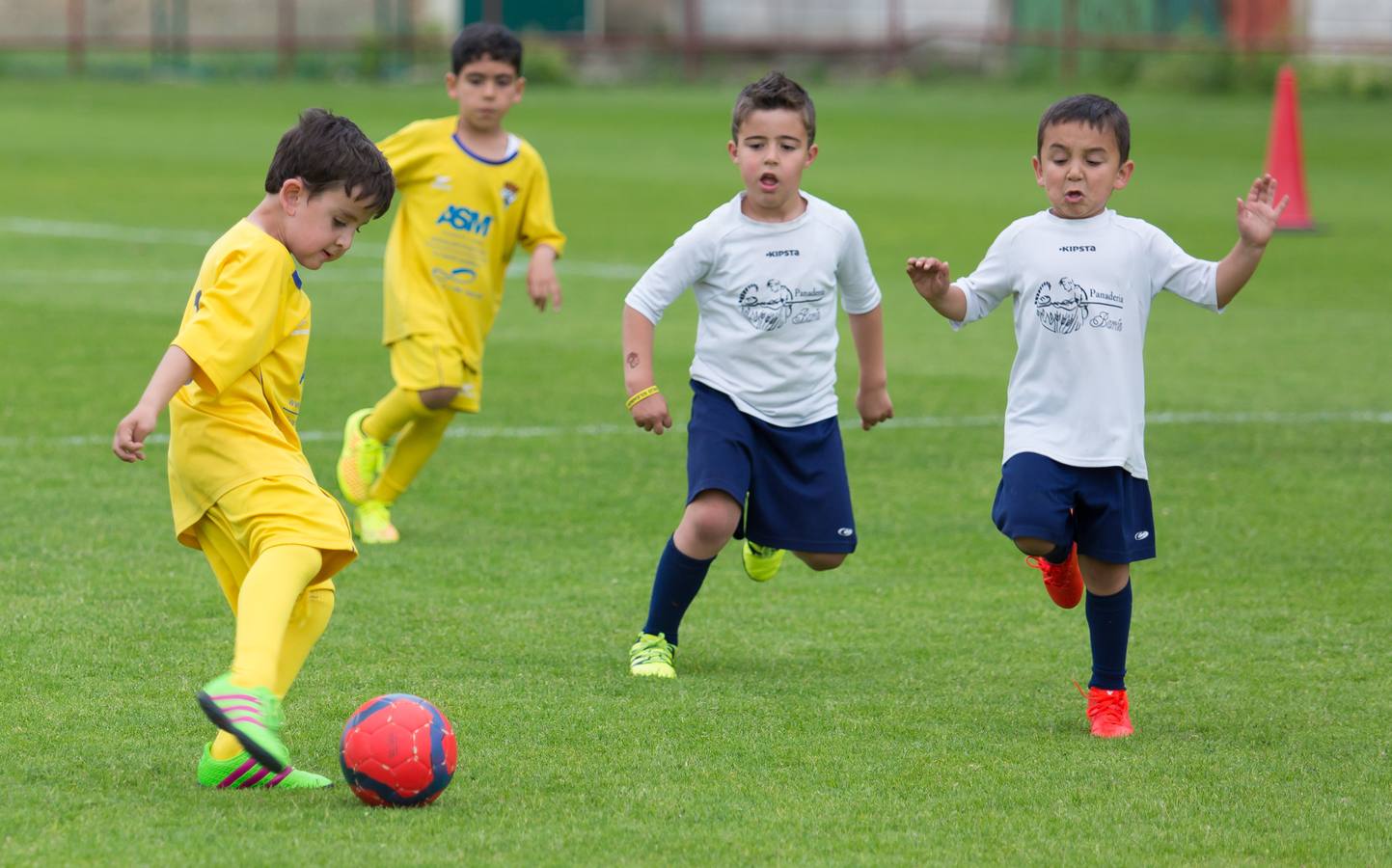 Torneo del EDF Logroño