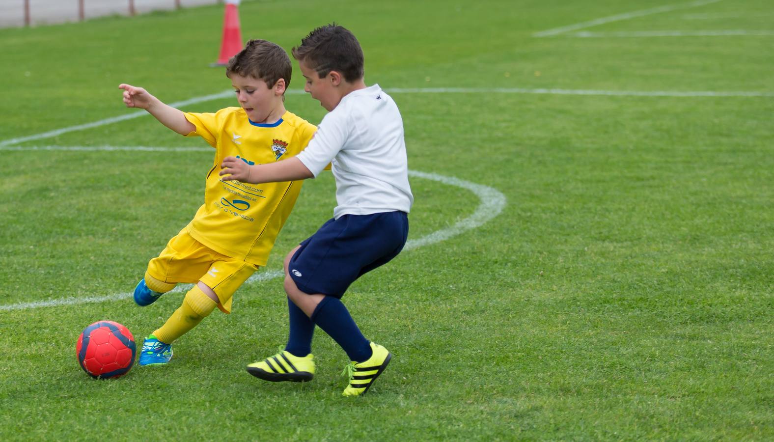 Torneo del EDF Logroño