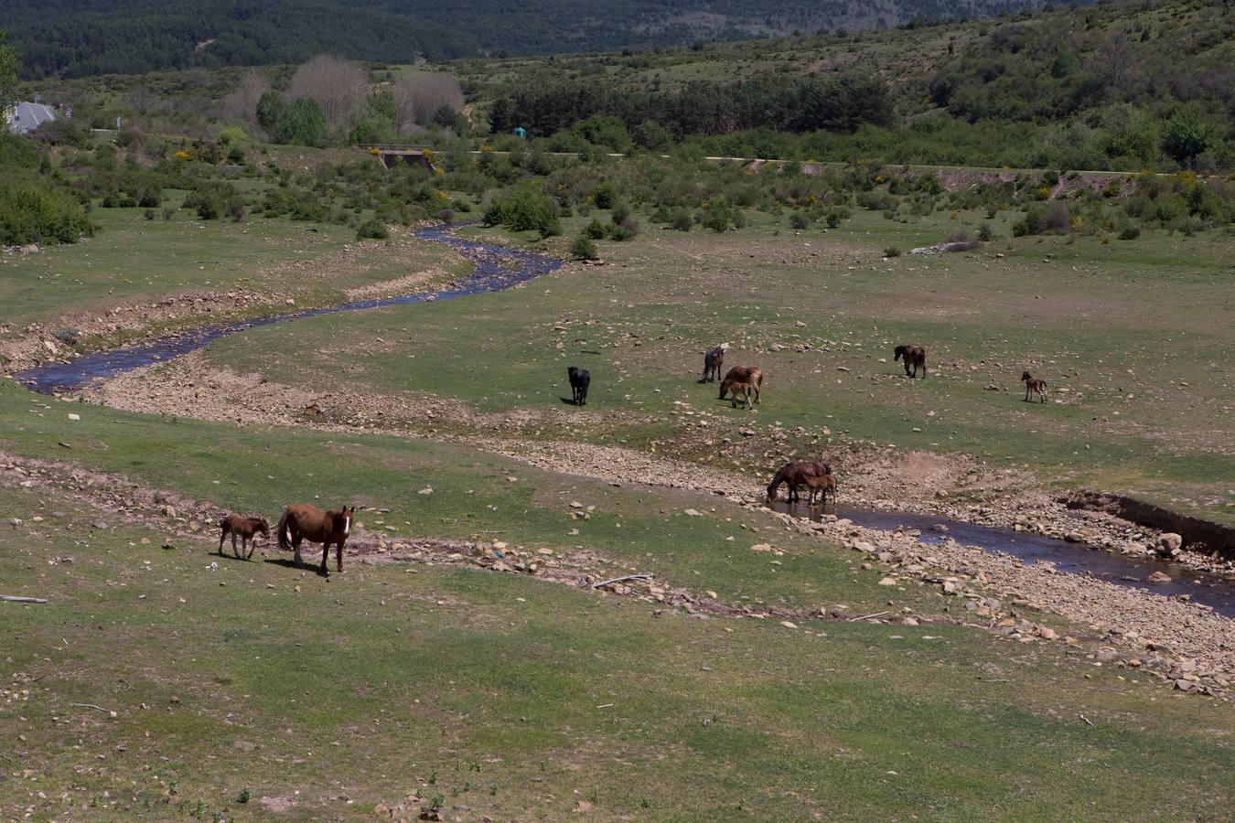 La Rioja siente la sequía