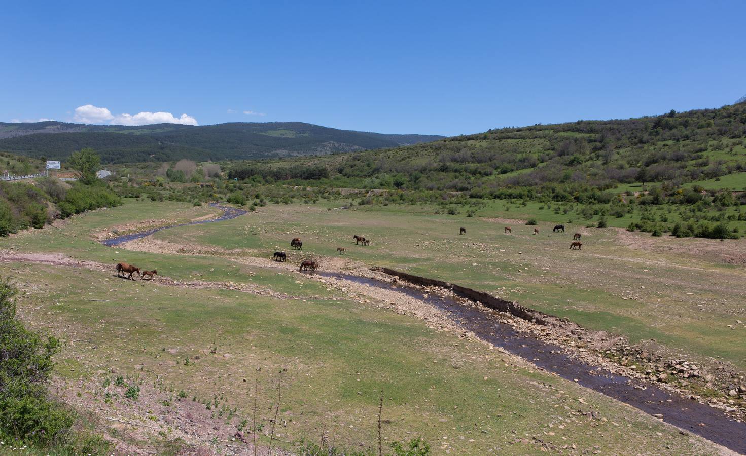 La Rioja siente la sequía