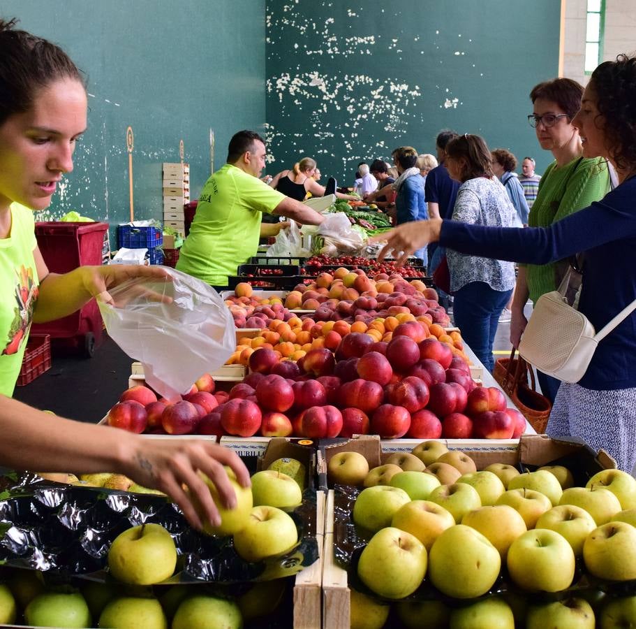 El Mercado de Varea (II)