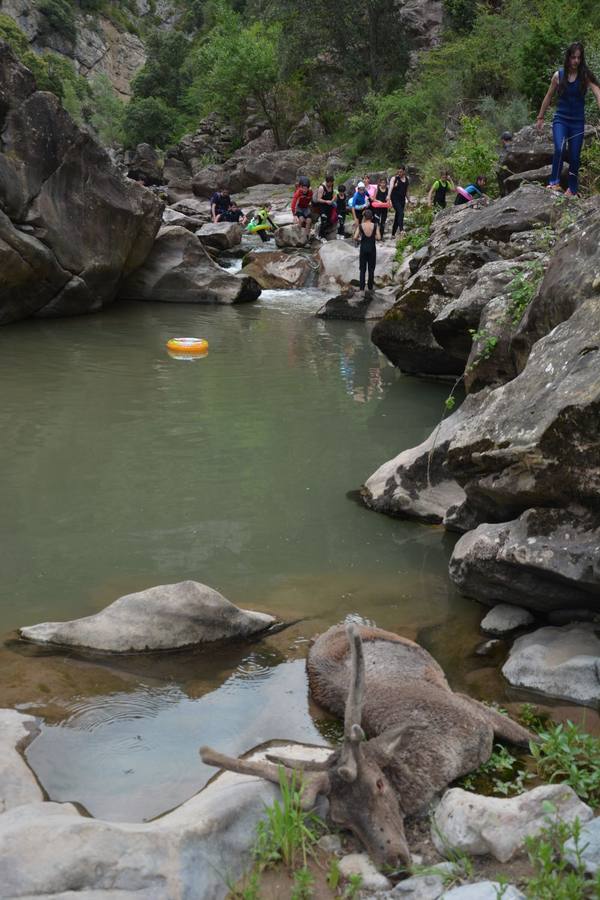 Excursión al Cañón del Río Leza