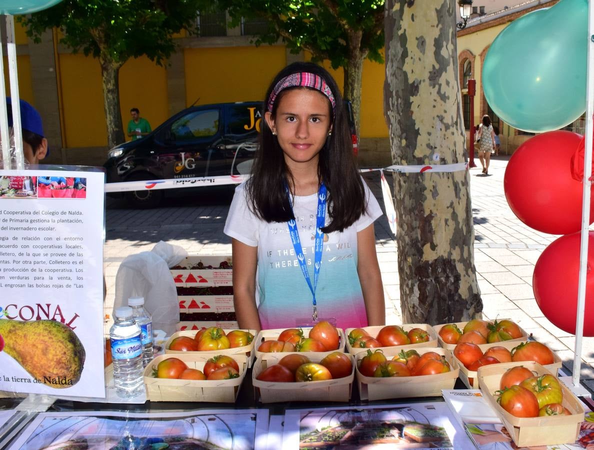 Mercado de cooperativas escolares