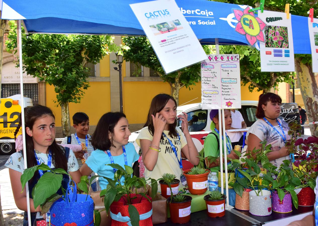 Mercado de cooperativas escolares