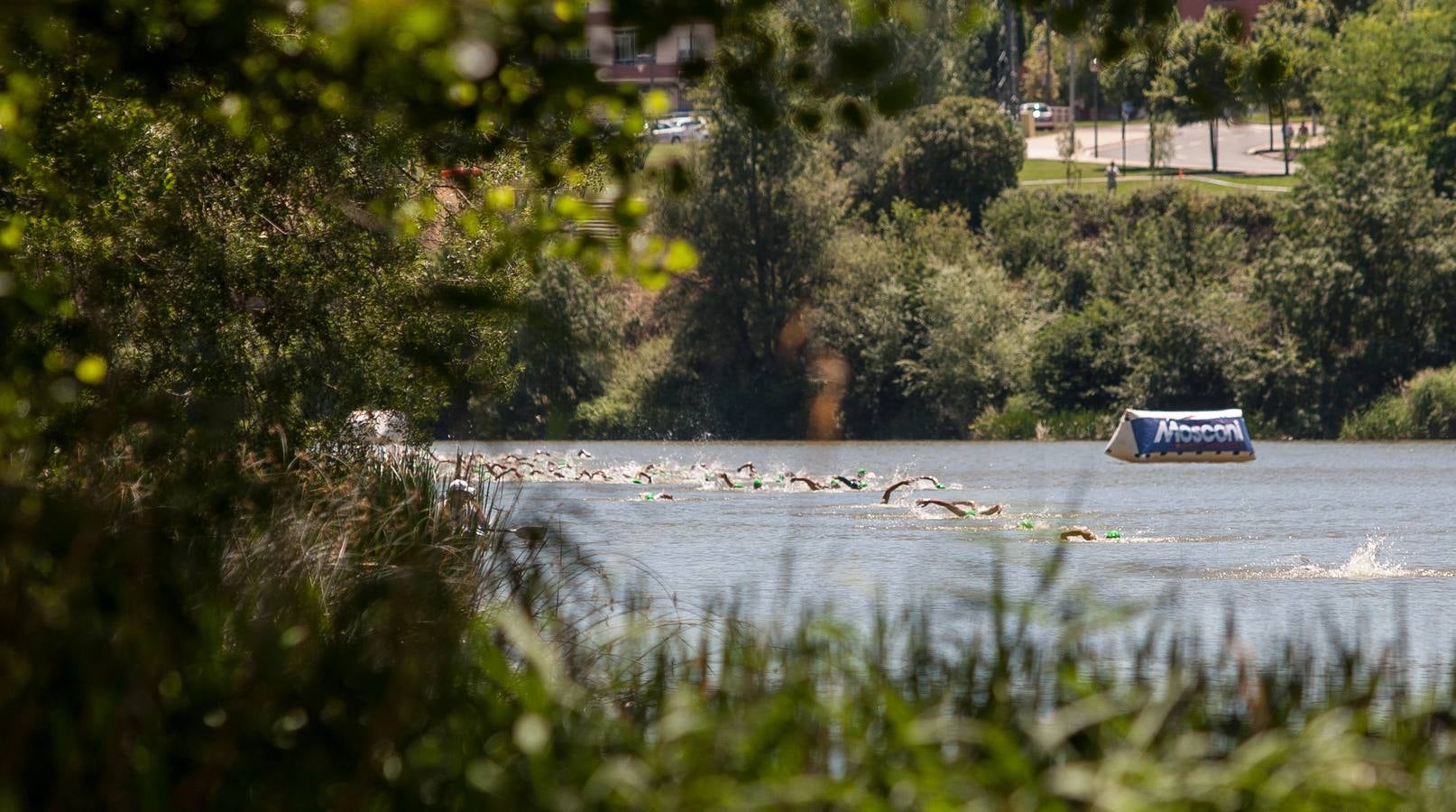 Triatlón de La Rioja (Natación)