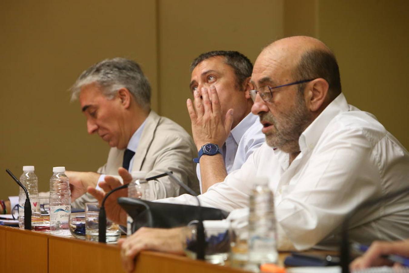 Comisión parlamentaria por los aparcamientos del San Pedro