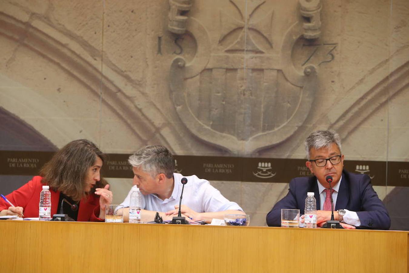 Comisión parlamentaria por los aparcamientos del San Pedro