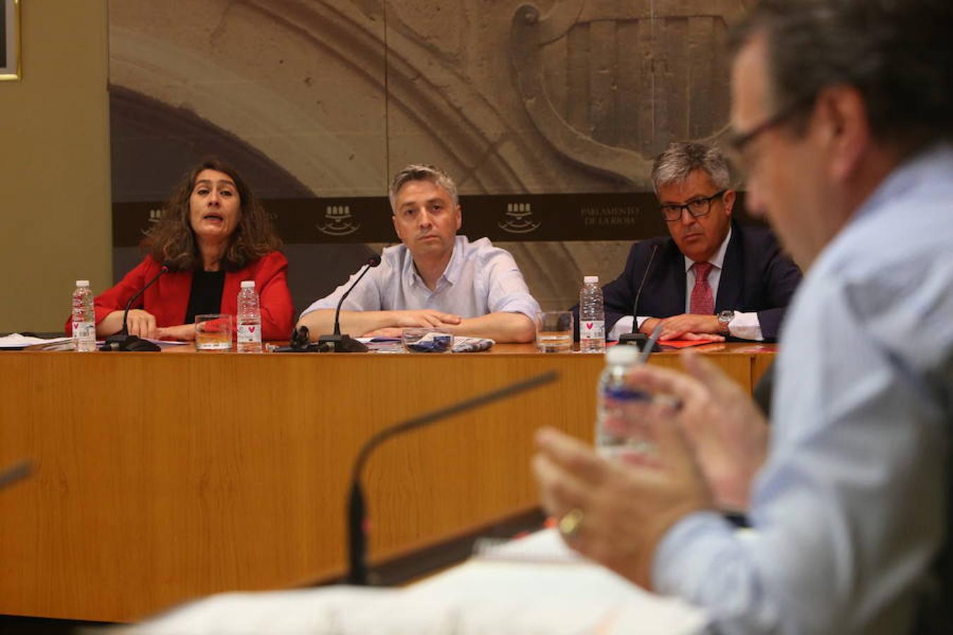 Comisión parlamentaria por los aparcamientos del San Pedro