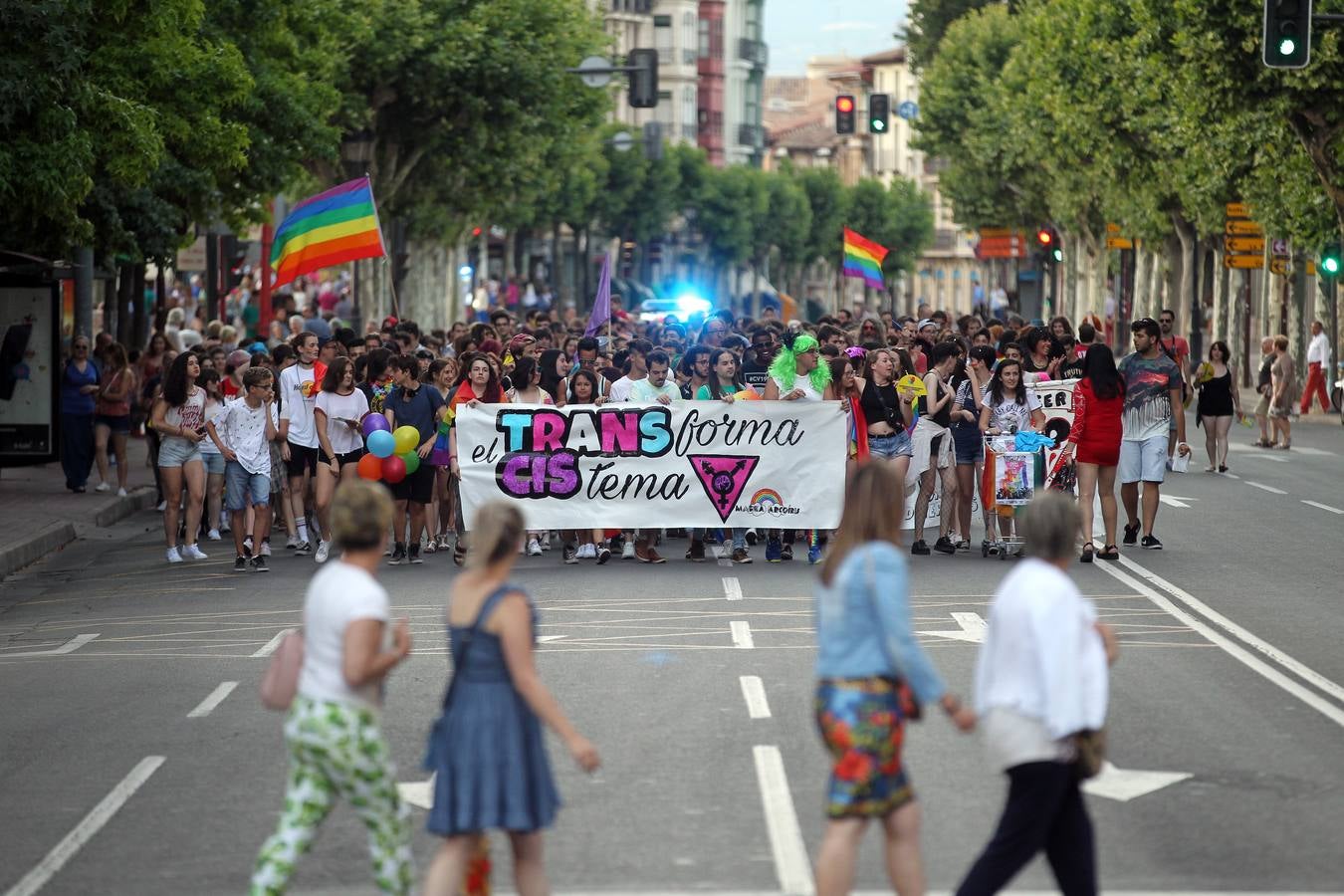 Manifestación del orgullo LGTBi en Logroño