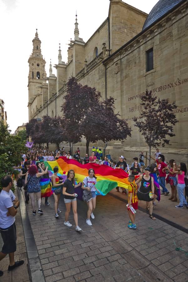 Manifestación del orgullo LGTBi en Logroño