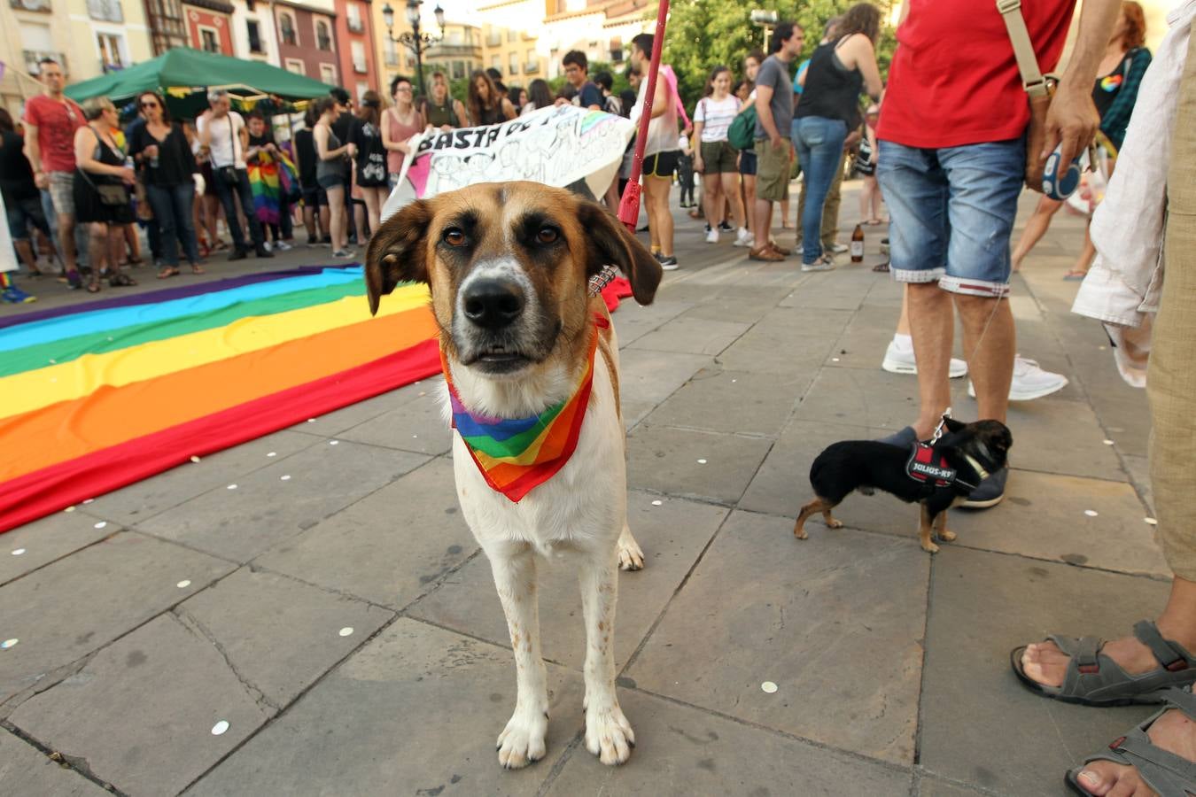 Manifestación del orgullo LGTBi en Logroño