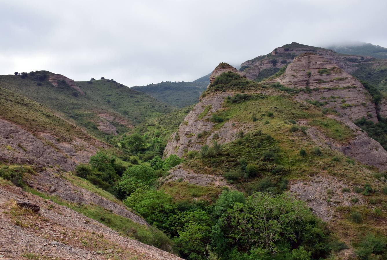 El Matutrail bate su récord