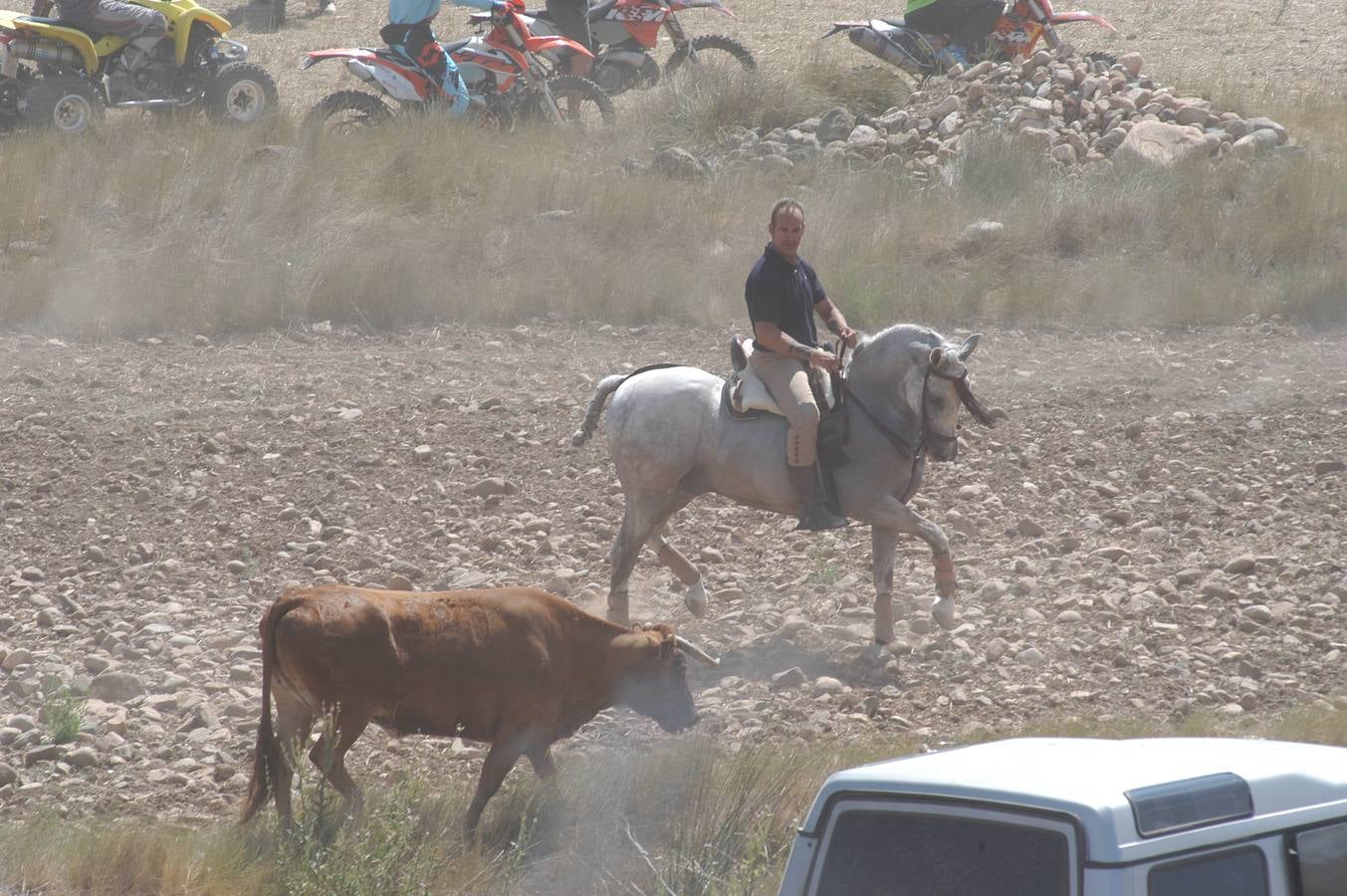 Las imágenes del tradicional festejo durante las fiestas de Valverde